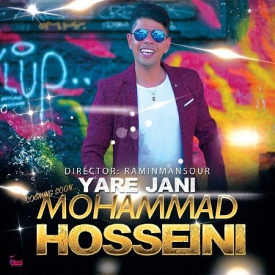 محمد حسینی یار جانی